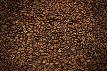 Coffee beans, closeup and organic with natural source for export, trading or flavor with sustainability. Caffeine, supply chain and manufacturing with zoom, industry or logistics for distribution