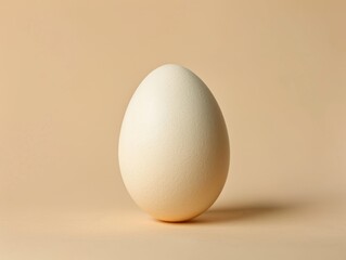 Happy easter! white chicken egg in the center of the composition on a plain beige background