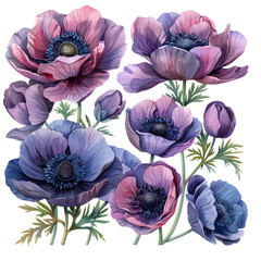 Vintage watercolor elements set of anemone and cloves flowers, hand drawn