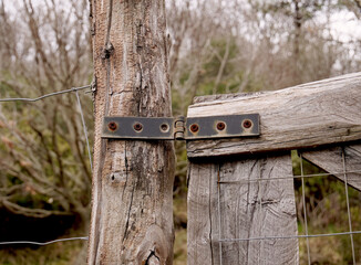 Iron hinge on raw wooden door - 768010917