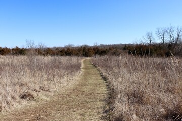 The empty grass trail in the countryside on a sunny day.