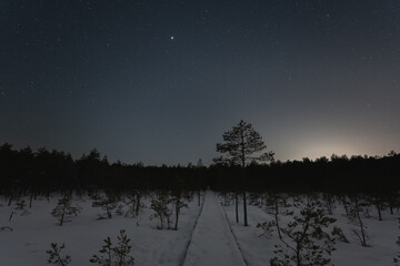 Night scene and starry sky. Wooden road for a traveler in the Viru swamp in snowy winter.