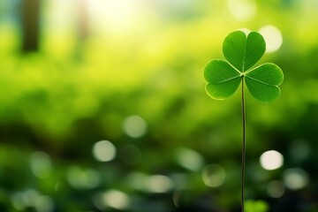Lucky clover leaf on blurred bokeh background with copy space for st. Patricks day celebration