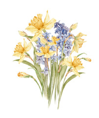 Vintage spring bouquet in watercolor. Watercolor daffodils and hyacinths. Spring floral postcard