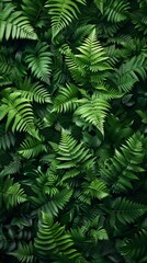 Green fern wallpaper