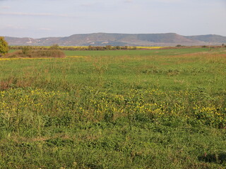 Fototapeta premium Pliska (Kaspichan Municipality, Shumen Province, Bulgaria)