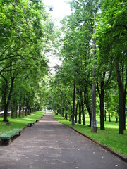 여름 공원 풍경 숲 잔디 나무 벤치 녹색 시원한 그늘