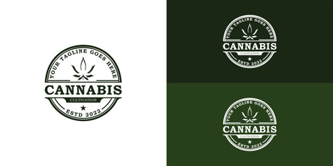 Obraz premium Vintage Cannabis Marijuana Hemp with retro Stamp Label logo in deep green color isolated on multiple background colors. The logo is suitable for healthcare and medical business logo design inspiration