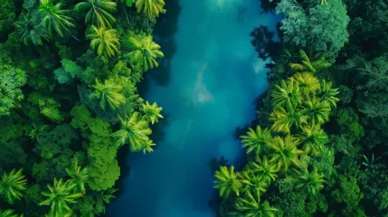 Selbstklebende Fototapeten Overhead view of a serene jungle river weaving through lush greenery, encapsulating tranquility and untouched nature. © cherezoff