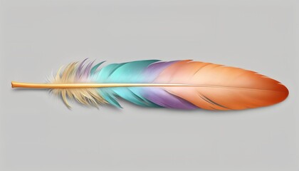 Colorful feathers isolated on a grey background, 