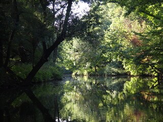 Ropotamo Reserve (Primorsko, Burgas Province, Bulgaria)
