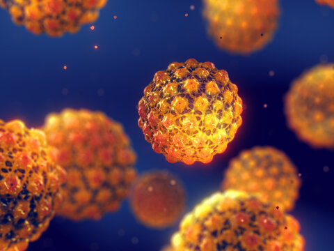 Human papillomavirus (HPV) is a common sexually transmitted infection. Some strains of HPV can cause genital warts, others cancer. Cancers from HPV can be prevented with vaccines