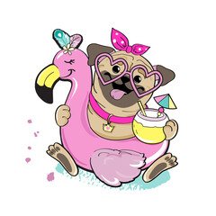 Cute pug dog with a circle of flamingos on a white background - 768035527