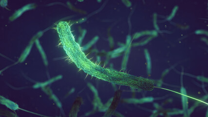Cholera bacteria. Vibrio cholerae is a gram negative bacterium. Cholera is an acute intestinal infection usually cased by contaminated water - 768035775