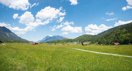 stunning spring landscape in may, green pasture with buttercups and huts, near Grainau, bavaria