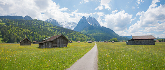 bike and hike way from Garmisch to Grainau, buttercup meadows with huts, spring landscape bavaria