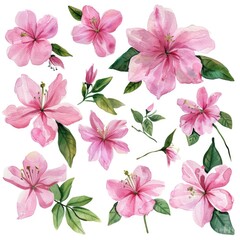 Array of watercolor pink flowers with verdant leaves, offering a splash of color against a white background for design enthusiasts
