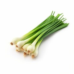 Scallions isolated on white background