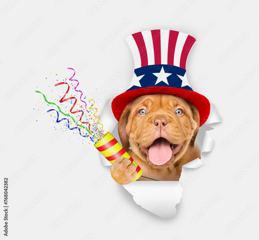 Poster happy mastiff puppy wearing like uncle sam explodes a firecracker through the hole in white paper. 4