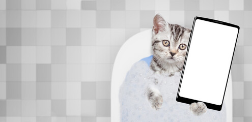 Funny kitten takes the bath with foam at home and shows big smartphone with white blank screen in it paw. Top down view. Empty space for text