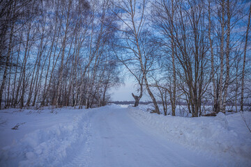 winter nature in the Russian countryside