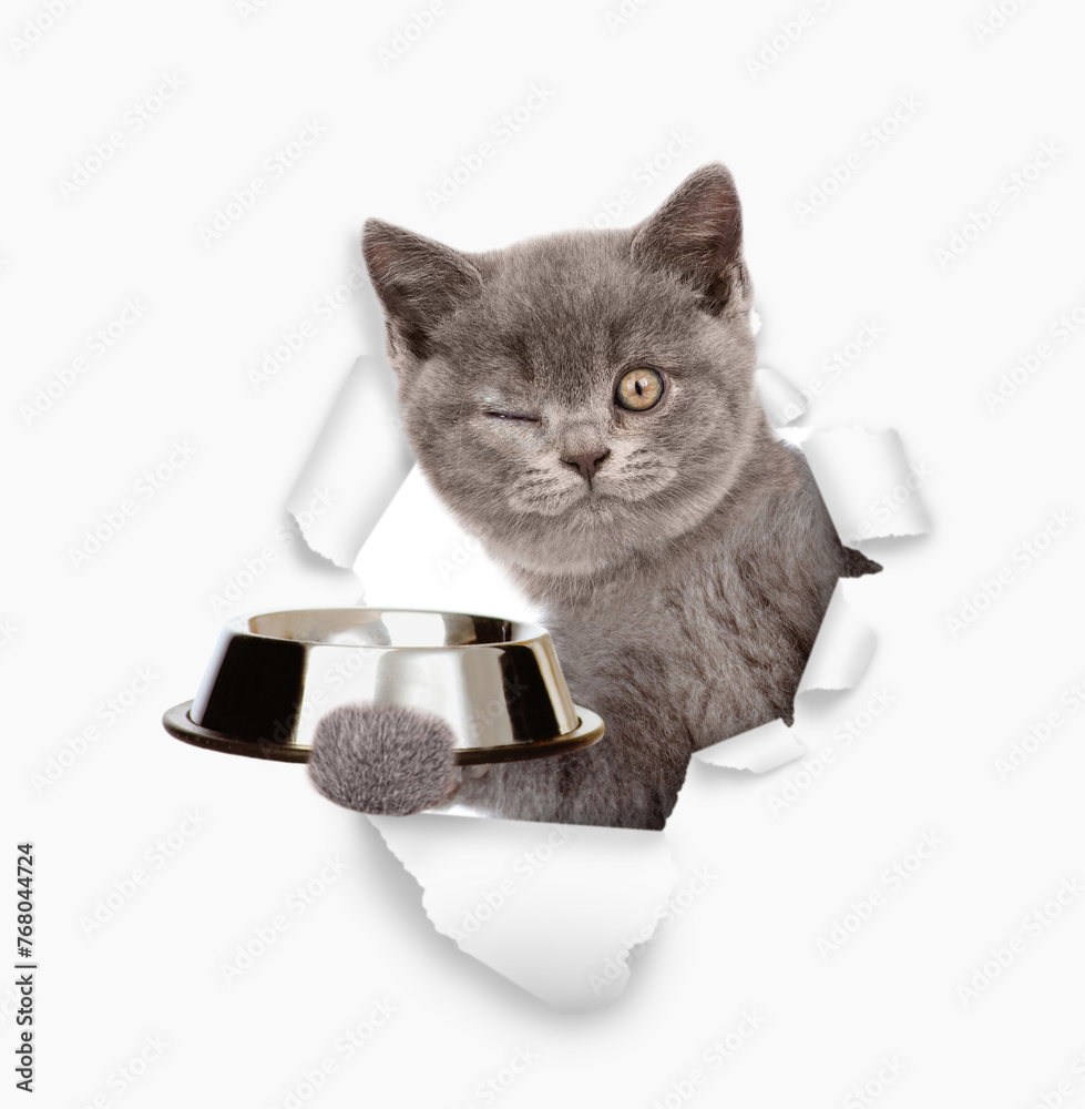 Poster winking kitten looks through the hole in white paper and holds empty bowl