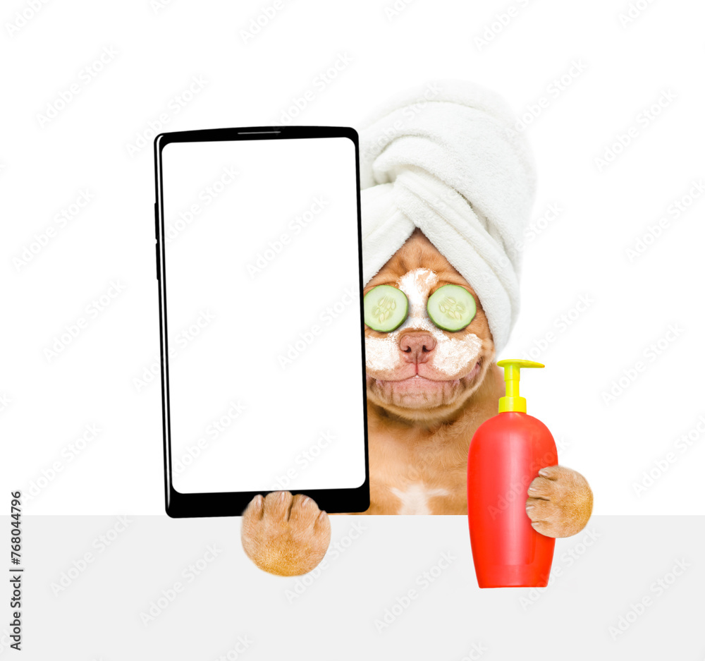 Poster Mastiff puppy with towel on it head with pieces of cucumber on it eyes and with cream on it face holds smartphone with white blank screen in it paw above empty white banner. isolated on white