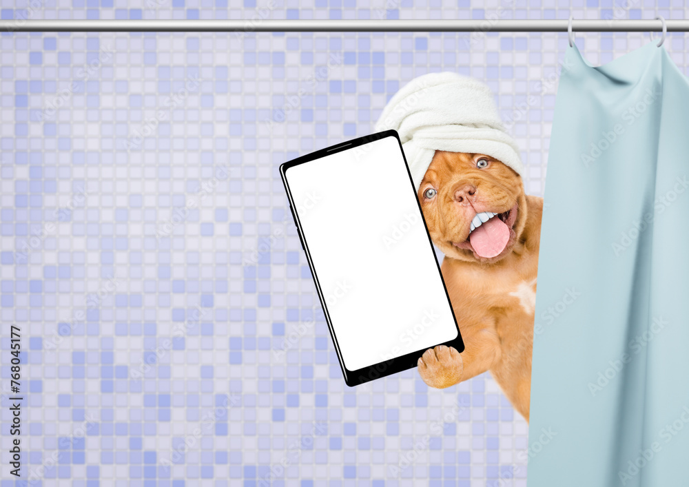 Poster happy mastiff puppy with towel on it head, with big funny teeth peeking out from behind the shower c