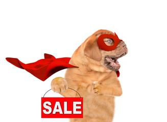 Barking Mastiff puppy with open mouth wearing superhero costume looking away on empty space and ...