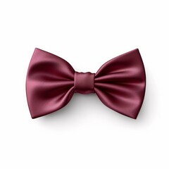 Bordeaux Bow Tie isolated on white background