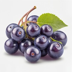 Fresh grapes isolated on a white background