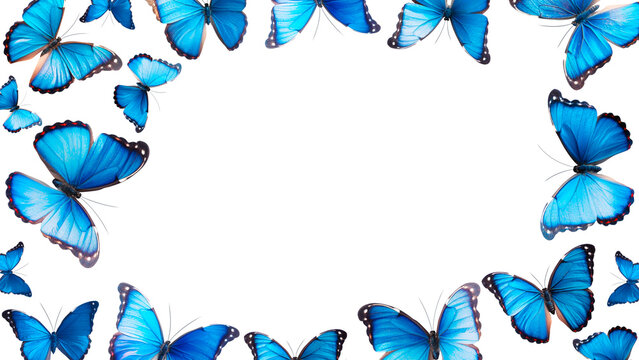 Blue Butterfly Border Images – Browse 26,159 Stock Photos, Vectors, and ...