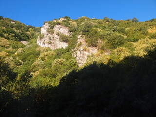 Rhodope narrow gauge train (Rhodope Mountains, Bulgaria)