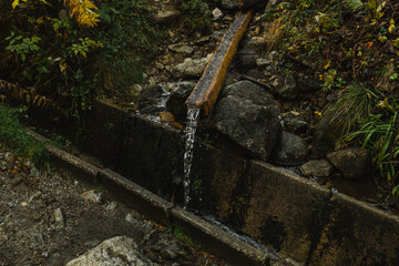 Hearty spring of water in mountains. His name is deer spring. Drinking water source for tourists. High quality photo