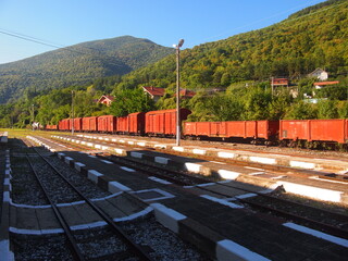Rhodope narrow gauge train (Rhodope Mountains, Bulgaria)