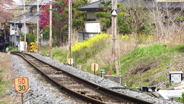 桜舞う中を疾走するSL