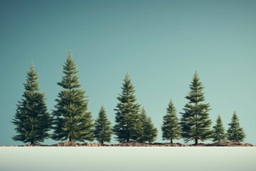 five green pine trees set next to each other