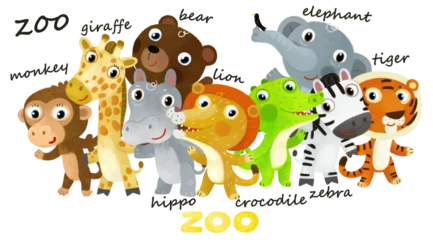 Schilderijen op glas Cartoon zoo scene with zoo animals friends together in amusement park on white background with space for text illustration for children © honeyflavour