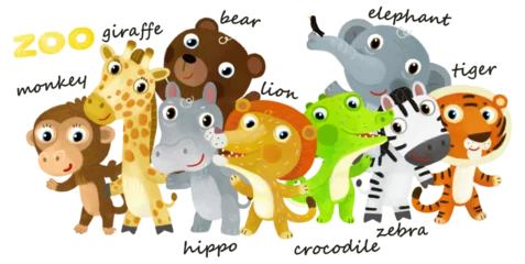 Foto auf Acrylglas Cartoon zoo scene with zoo animals friends together in amusement park on white background with space for text illustration for children © honeyflavour