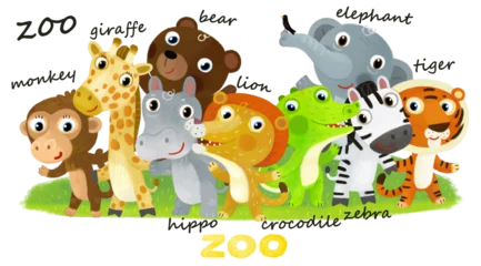 Gartenposter Cartoon zoo scene with zoo animals friends together in amusement park on white background with space for text illustration for children © honeyflavour