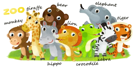 Fototapete Cartoon zoo scene with zoo animals friends together in amusement park on white background with space for text illustration for children © honeyflavour