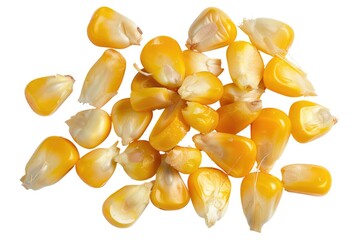 Fototapeta premium several kernels of corn, also isolated against a white background. Their bright yellow color stands out, which could make this a great image for something related to agriculture, cooking, or nutrition