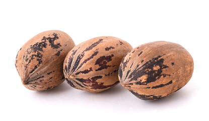Nutmegs (Myristica fragrans) - 768056331