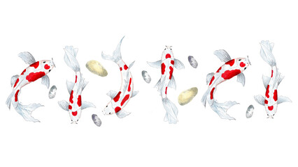 Border watercolor koi fish, pebbles. Watercolor illustration for your design.
