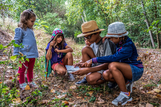Young explorers on a forest adventure, learning and fun merge in children's play. Diverse group consults a map, embodying the spirit of discovery. Childhood and diversity concept.