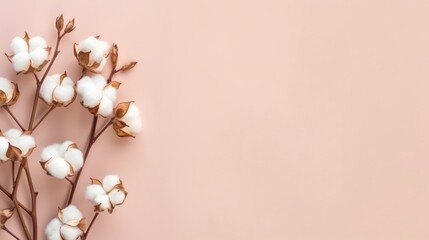 White cotton flowers on beige background. Flat lay, top view.