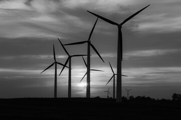 wind turbines at sunset in black and white
