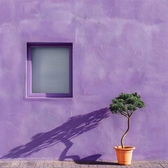 A Plant In Front Of A Purple Wall 