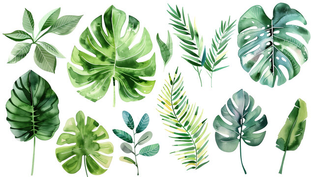 set of watercolor green leaves isolated