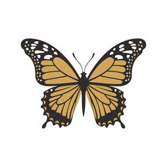 Single colorful butterfly Vector Art Illustration isolated on a white background